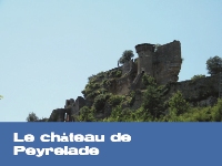 Le ch&acirc;teau de Peyrelade
